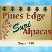 Pines Edge Suri Alpacas